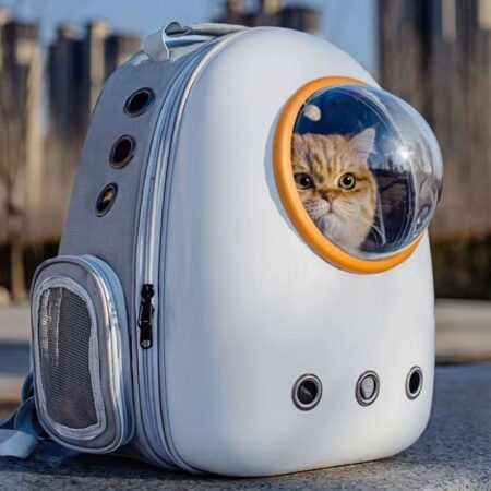 Cat travel bag