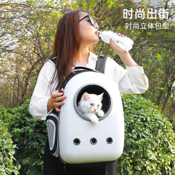 Cat travel bag - 图片 2