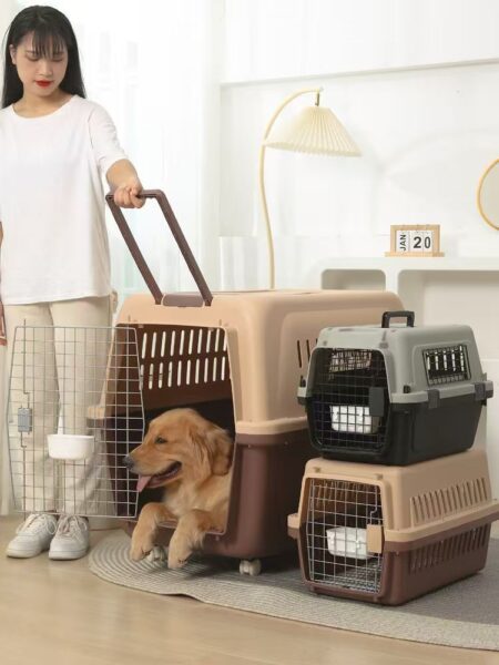 Large dog pet space box