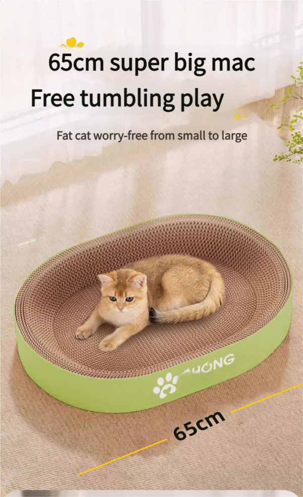 Cat scratching board - 图片 4