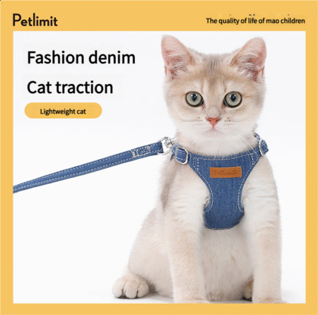 Fashion Denim Cat Leash