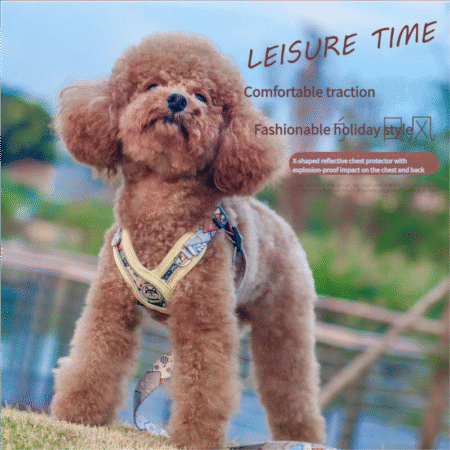 Fashion dog leash