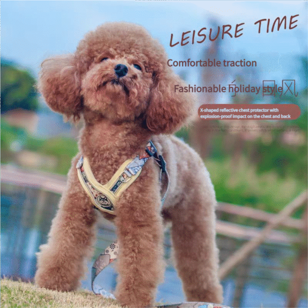 Fashion dog leash
