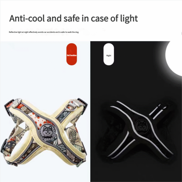 Fashion dog leash - 图片 2
