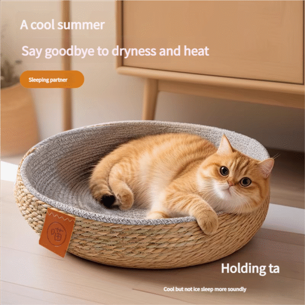 Summer cat bed wear-resistant and scratch-resistant