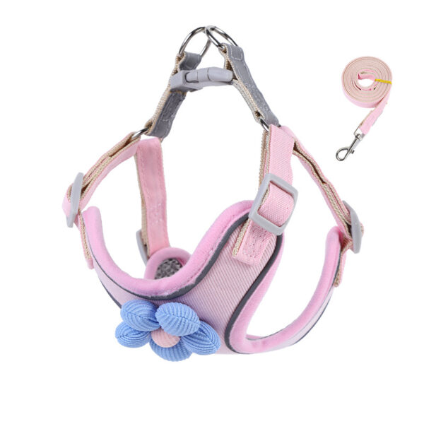Dog leash - 图片 5