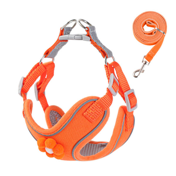 Dog leash - 图片 3