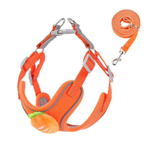 Dog leash - 图片 2